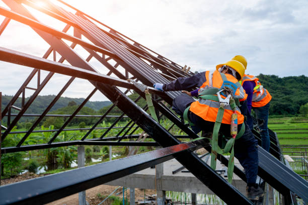 Best Roof Maintenance Services  in Elk Creek, KY