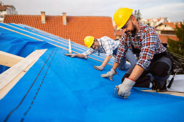 Best Best Roofing Contractors  in Elk Creek, KY