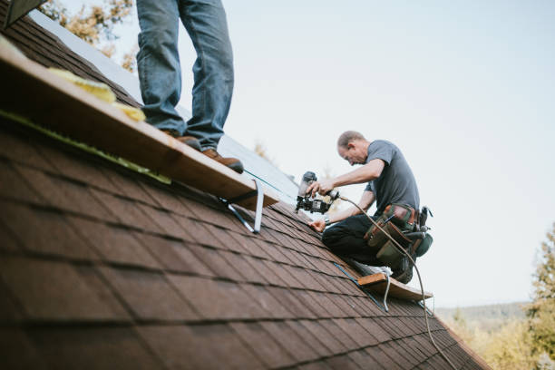 Best Roof Gutter Cleaning  in Elk Creek, KY
